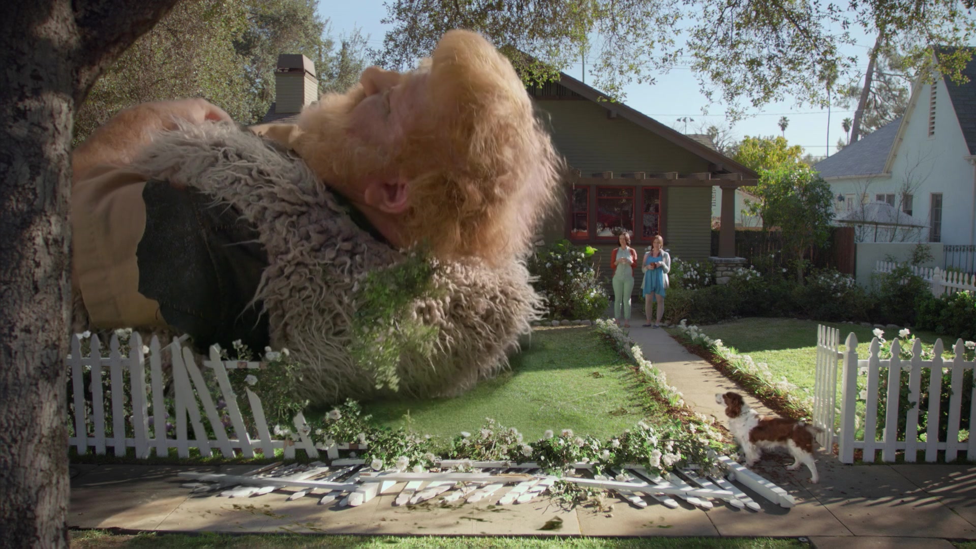 A giant lifts his head beside a tree in a front yard while a small dog stands near the broken fence.