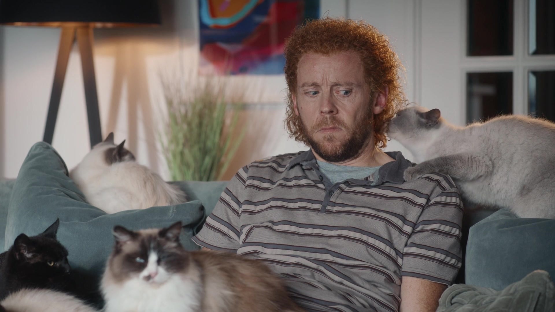 Mike — Mike surrounded by cats on the couch, cat on his shoulder